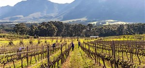 spookfontein's terrific terroir