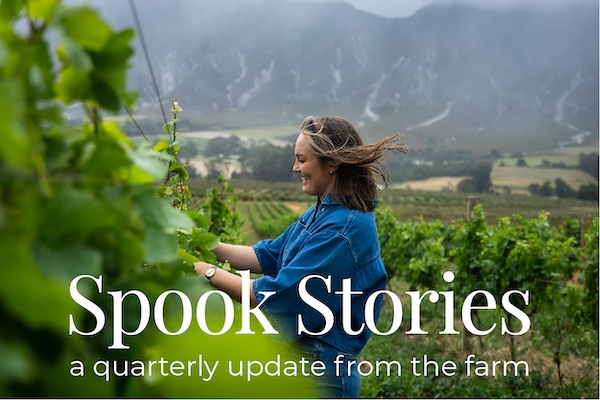 Spook Stories - Q1 2025
